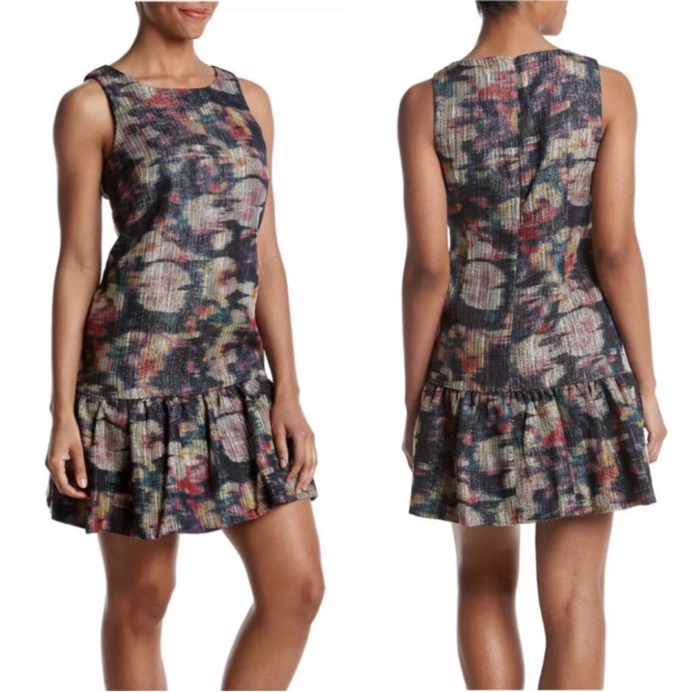 Nicole Miller Metallic Mesh Floral Sleeveless Ruffle Drop Waist Mini Dress Sz. 6